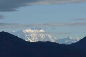 Himalayan snow peaks behind the foothills 