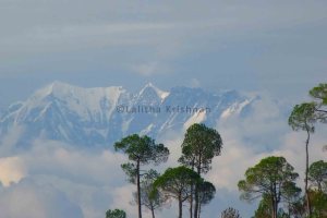 Himalayan range upclose