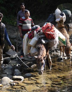 Indispensable. Mules make it all possible.
