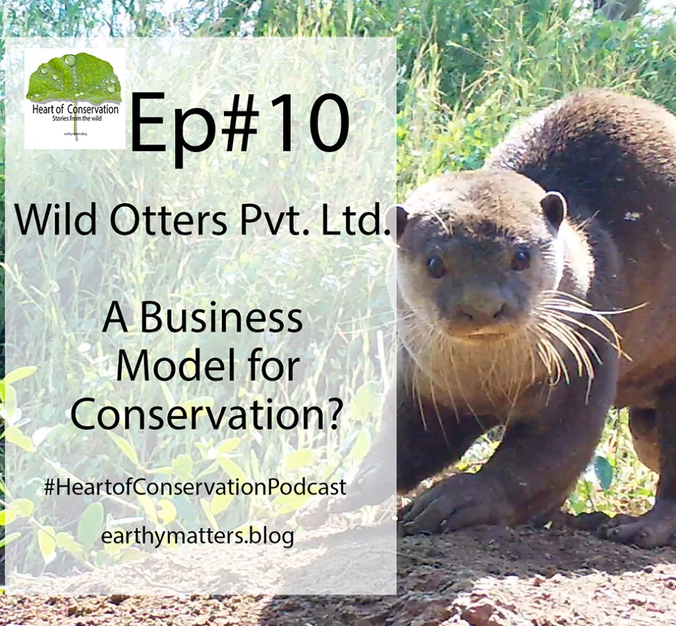 #HeartofConservationPodcast #storiesfromthewild