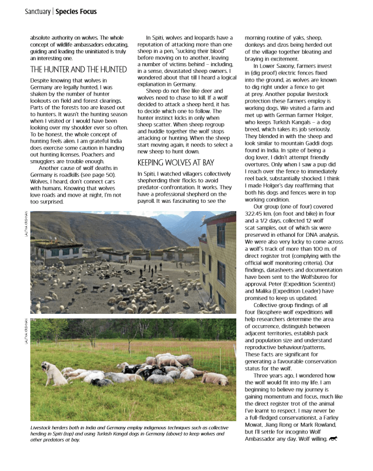 From Lahul Spiti to Lower Saxony. On the wolf Trail pg 62