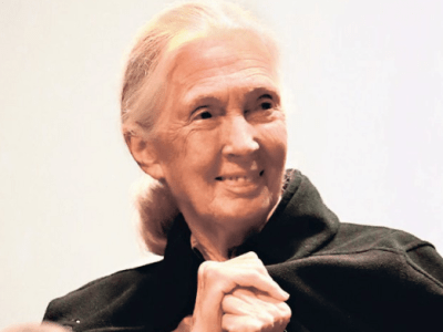 Ethical Writing for Conservation with Journalist, Vikhar Ahmed&nbsp;Sayeed